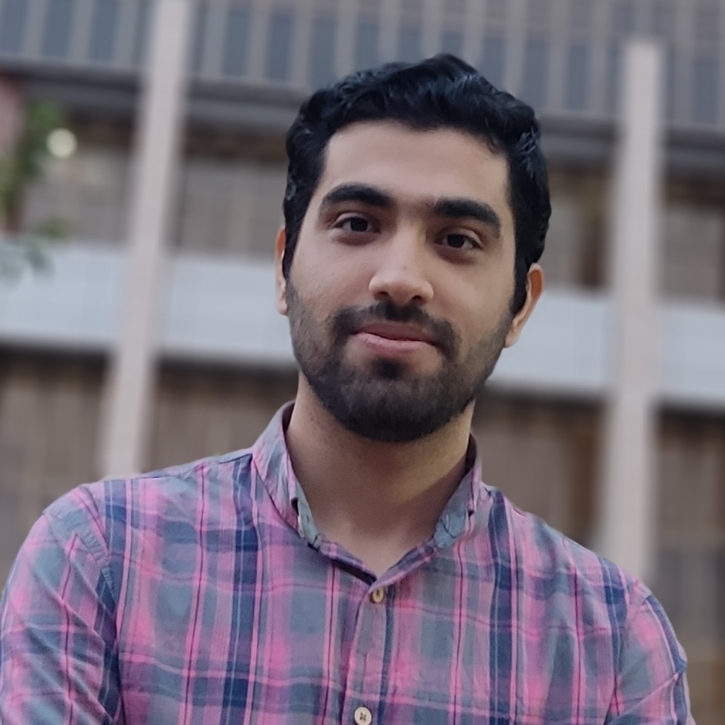 Amir Hossein Ansari